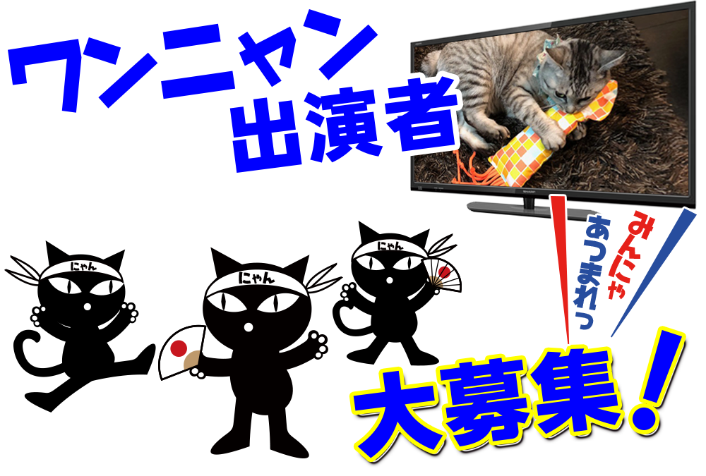 ワンニャン出演者大募集