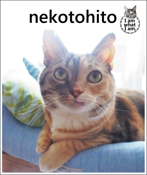 nekotohito(ネコトヒト)の作品のメイン画像