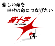 猫十字