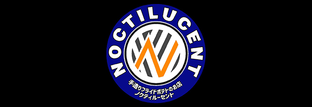 NOCTILUCENT