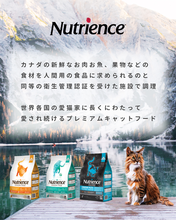 Nutrience作品3